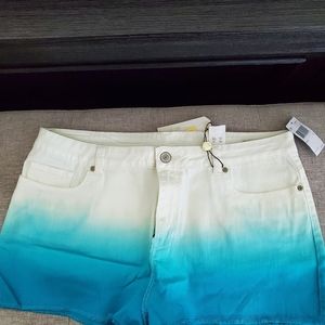 High Rise Denim shorts *Turquoise and White*